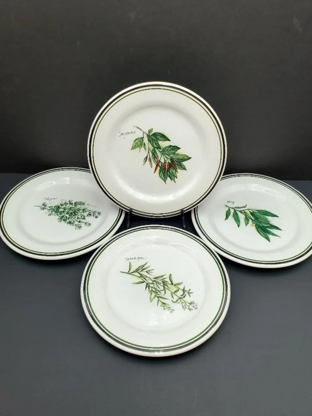 Williams-Sonoma Culinary Herbs Salad Plates Williams Sonoma WSO24 Dessert Plates